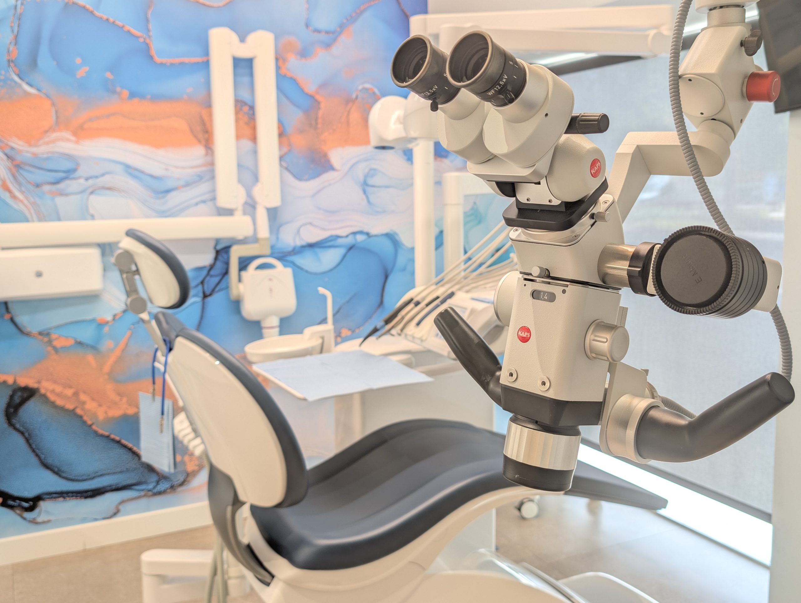https://clinicadentalreinavictoria.com/wp-content/uploads/2026/09/endodoncia-microscopica-1-scaled.jpg